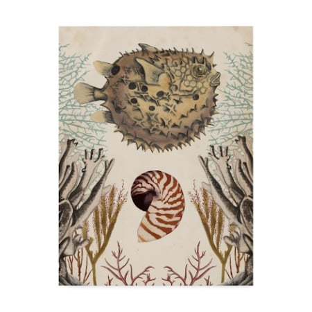 Naomi Mccavitt 'Antiquarian Menagerie Puffer Fish' Canvas Art,24x32